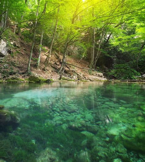 Premium Photo River Deep In Mountain Forest Nature Composition