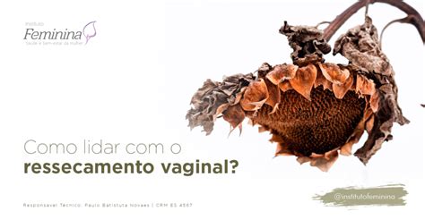 Como Lidar O Ressecamento Vaginal Instituto Feminina