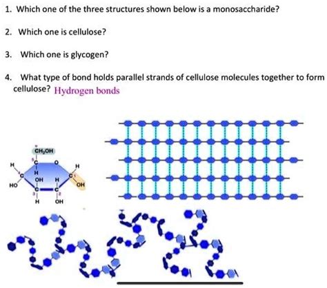 Solved Which One Of The Three Structures Shown Below Is A