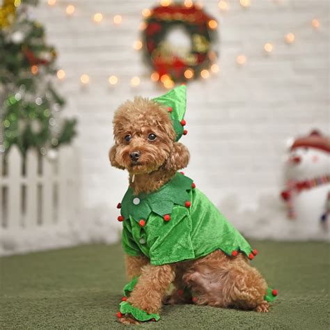 Super Cute Pet Christmas Clothes Wizard Christmas Tree Funny Style For ...