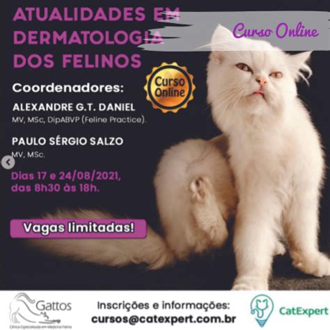 Curso Online Atualidades Em Dermatologia Dos Felinos Gattos Medicina