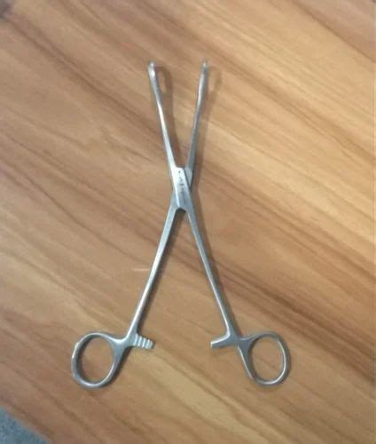 Silver SS 10Inch Sponge Holder Forcep At Rs 230 Piece In Jalandhar ID