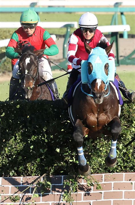 絶対王者オジュウチョウサンの主戦、石神深一騎手が平地競走で11年ぶりv／福島9r 競馬写真ニュース 日刊スポーツ