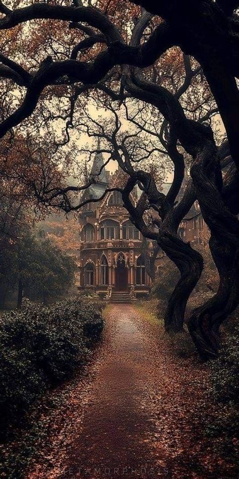 Pin By Lynn Barletta On Castles Houses Victorian Gothic