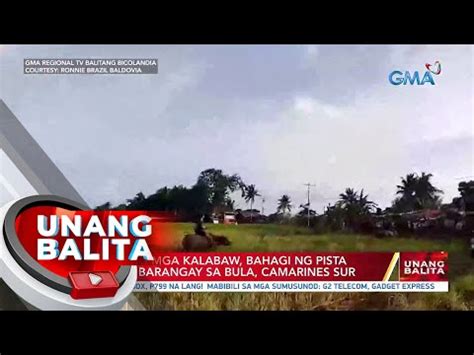 Karera Ng Mga Kalabaw Bahagi Ng Pista Sa Isang Barangay Sa Bula