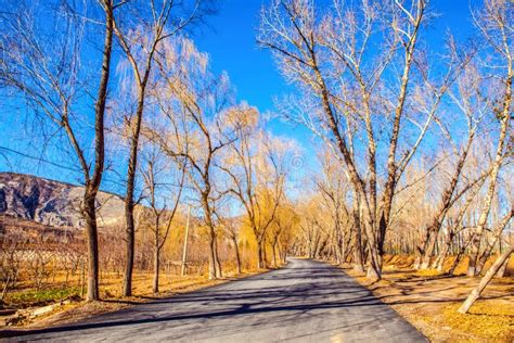 Early Winter Scene in the Northern China Stock Photo - Image of sunshine, taiyuan: 36513938