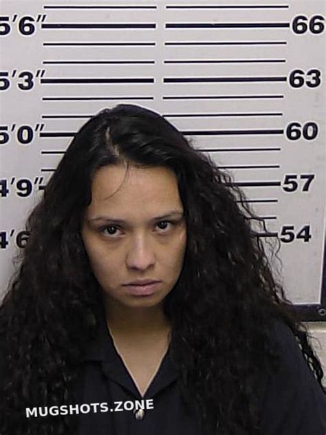 Hernandez Lysette Lanay Eddy County Mugshots Zone