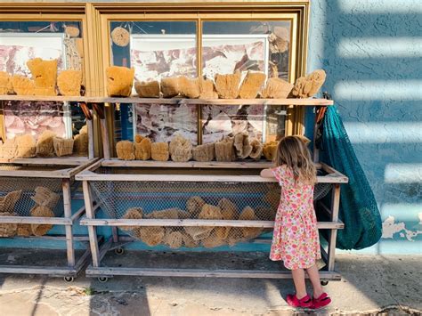 A Complete Guide to Visiting the Tarpon Springs Sponge Docks in 2023 ...