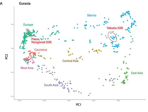 The Cradle Of Russians An Obvious Finno Volgaic Genetic Hotspot Indo