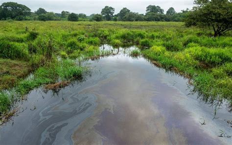 Fuga de hidrocarburo desemboca en río San Marcos en Puebla El Sol de