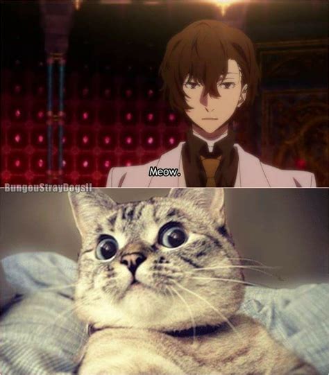 Bungou Stray Dogs Memes Bungou Stray Dogs Stray Dogs Anime Stray Dog