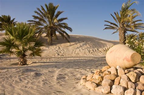 Desert Oasis stock image. Image of holiday, land, destinations - 2880511