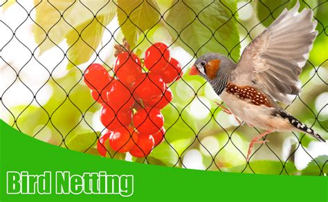 Poultry Netting For Chicken Run 25x50ft Garden Netting With 1 Square Mesh