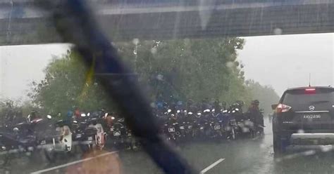 tru mua duoi gam cau muon thong cam cung kho tuoi tre