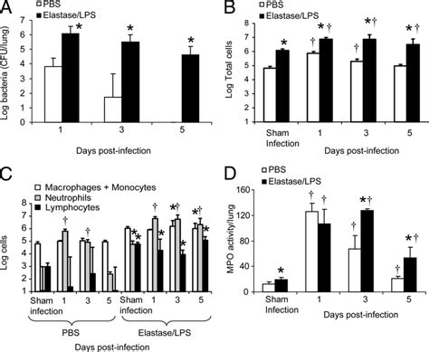 Persistence Of NTHi And Lung Inflammation PBS Exposed Or