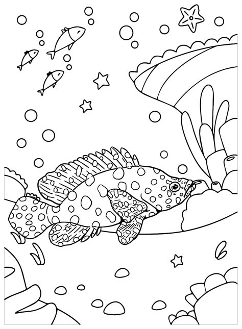 Giant Grouper Fish Coloring Page - Free Printable Coloring Pages