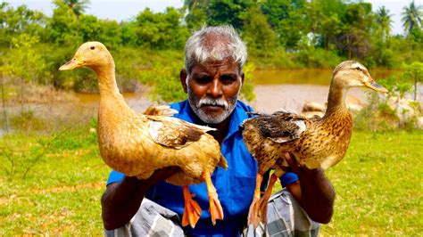 Pepper Duck Recipe Yummy Duck Curry Recipe Duck Fry Food Fun