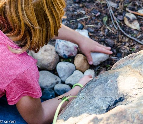 Se7en Review A Box Of Rocks Rock Collecting 101 For Kids Se7en