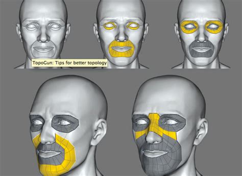 Material De Estudio Topolog A Facial En Pdf Tutoriales Kames