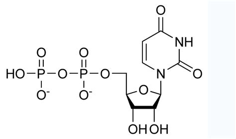 尿苷二磷酸中文百科全書