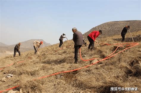 郏县茨芭镇：矿山复绿植树忙绿化