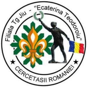 Eveniment Unic Cerceta Ii Centrului Local Ecaterina Teodoroiu