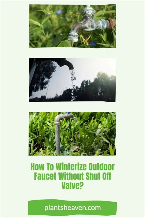 Here’s How To Winterize Outdoor Faucet Without Shut Off Valve | Plants Heaven