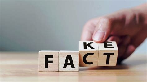 "Brasil foi um enorme laboratório no uso maciço de fake news para a
