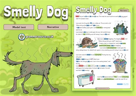 why is dog smelly step by step 6