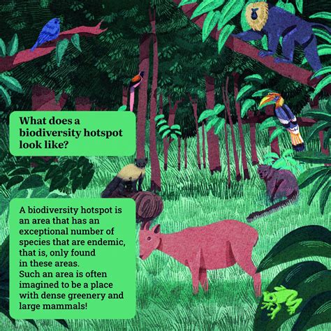 What does a biodiversity hotspot look like? - SciTales