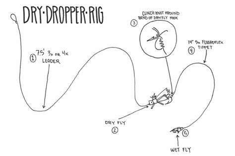 Dry Dropper Rig By Ben Engle Fly Fishing Fly Fishing Books