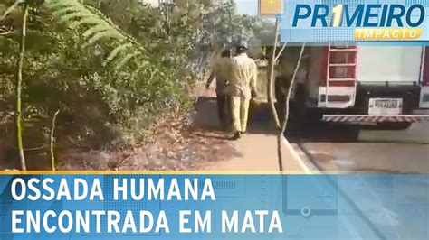 Morador Encontra Corpo Em Decomposi O Em Terreno No Interior De Sp