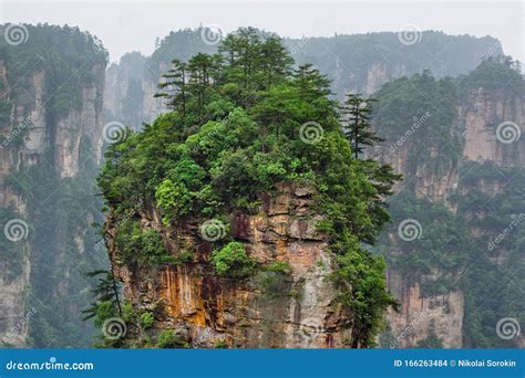 Tianzi Avatar Mountains Nature Park - Wulingyuan China Royalty-Free ...