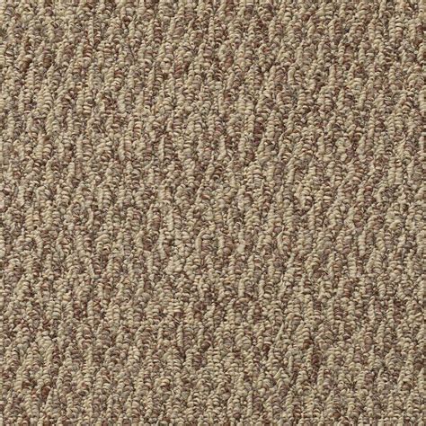 Mohawk Patterned Carpet & Carpet Tile at Lowes.com