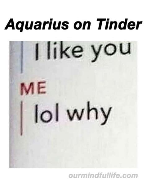 36 Funny Aquarius Memes That Are Basically Aquarian Facts