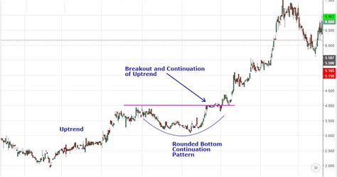 Cryptocurrency Price Charts