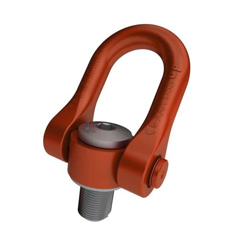 Shackle Hoist Ring Dss Lifteurop Double Articulated Swivel