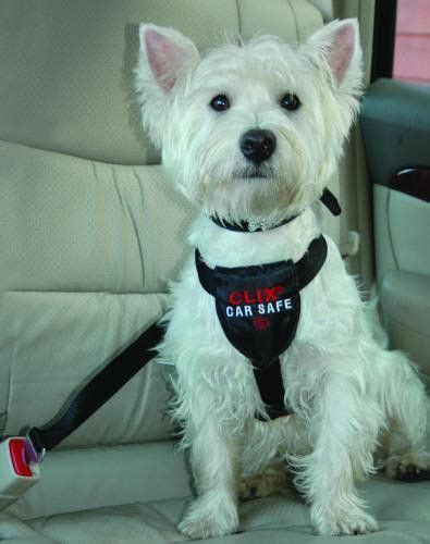 Clix Car Safe Harness For Dogs Walking Harness Dog Harness West