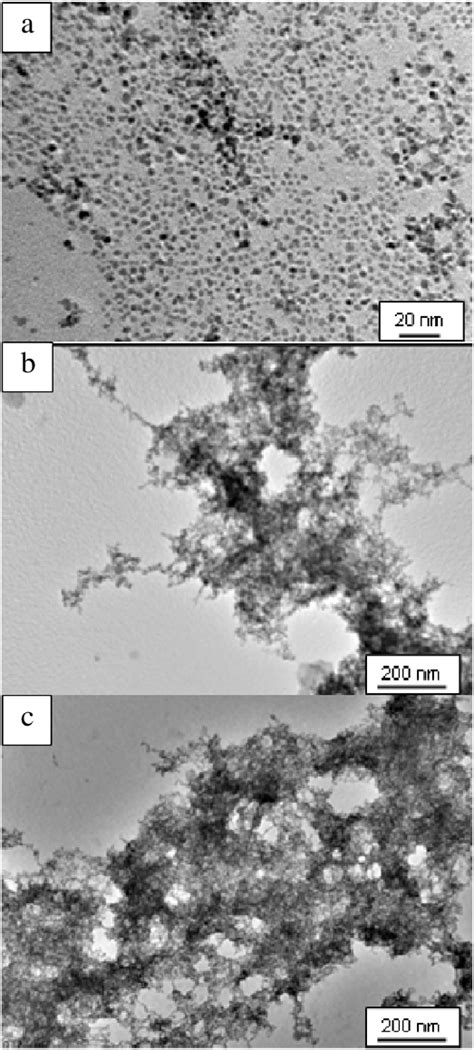 Tem Micrographs Of Pd Nanostructures Synthesized In The Presence Of A