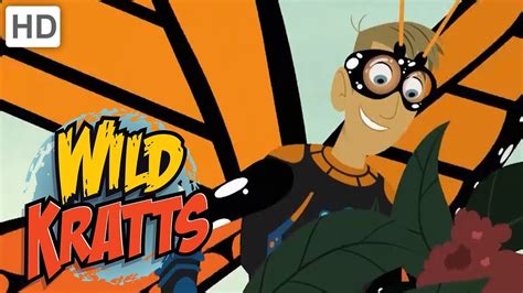 Wild Kratts Spread Your Little Wings 🦋🦇 Kids Videos Youtube