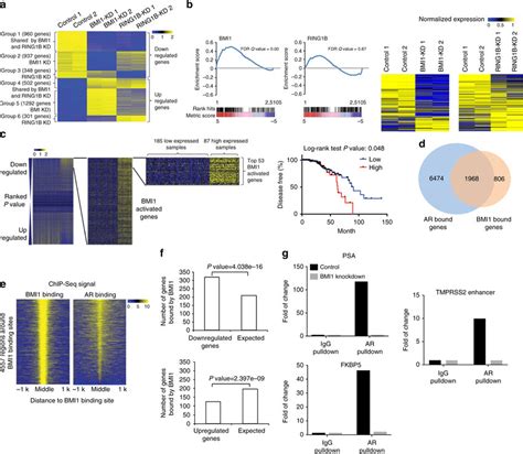 Rna Seq And Chip Seq Analysis Shows That Bmi Regulates Ar Signaling