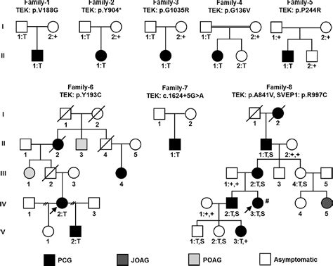 Figure 1 From SVEP1 As A Genetic Modifier Of TEK Related Primary