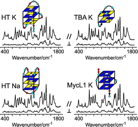 Analysis Of Gquadruplex Conformations Using Raman And Polarized Raman