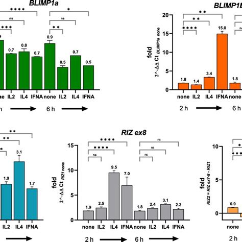 Cytokine Treatments Regulate PRDM1 And PRDM2 Gene Expression Levels In