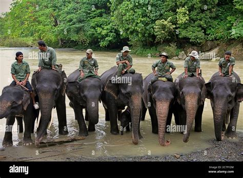 Portrait Of Elephant Patrol Squad Conservation Response Unit Cru