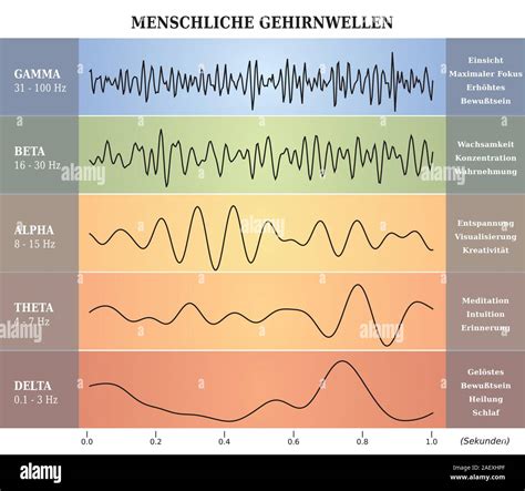 Human Brain Waves Diagram in five Colors with Explanations - German ...