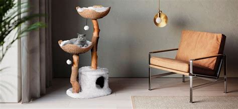 Best Modern Cat Trees In Top Rating Cat Towers And Condos With