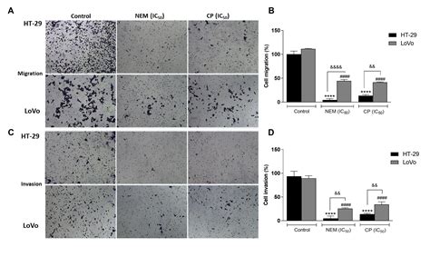 Colorectal Cancer Cells Encyclopedia Mdpi