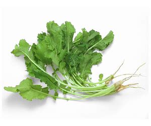 Health-benefits-of-Turnip-Greens | Health Benefits