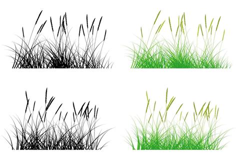 Short Grass Pampas Grass 11376454 Vector Art At Vecteezy